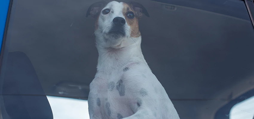 Car Lockout Solutions in Vandenberg Village, California